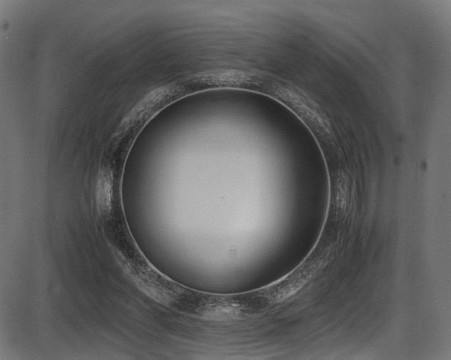 X0000087640206200705031519