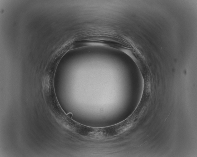 X0000087640211200705031518