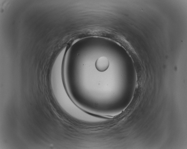 X0000087640213200705031518