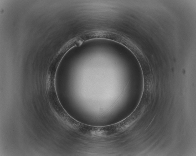 X0000087640216200705031518