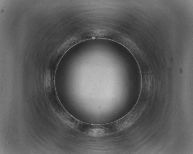 X0000087640220200705031518