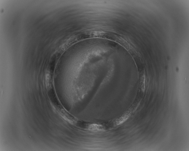 X0000087640222200705031518