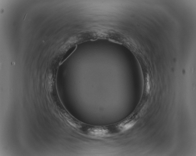 X0000087640223200705031518