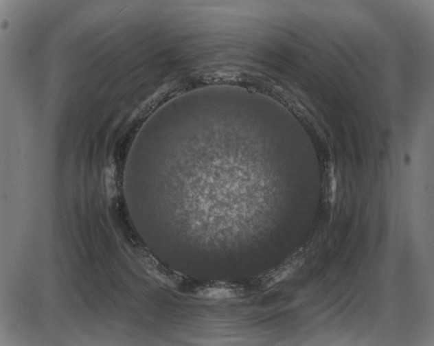 X0000087640224200705031518