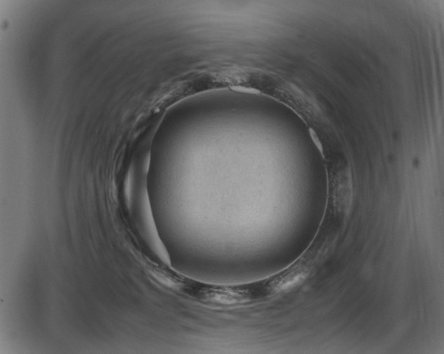 X0000087640229200705031518