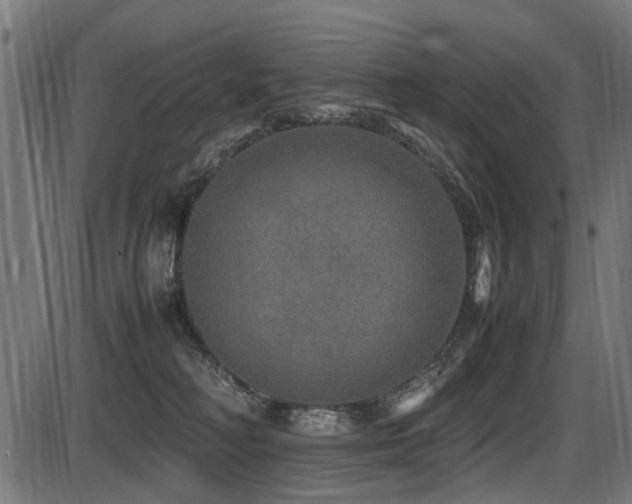 X0000087640230200705031518