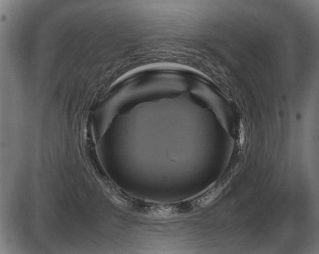 X0000087640235200705031518