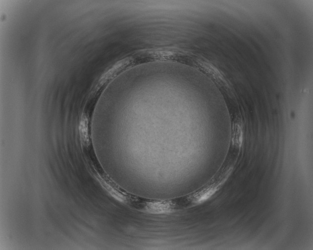 X0000087640238200705031518