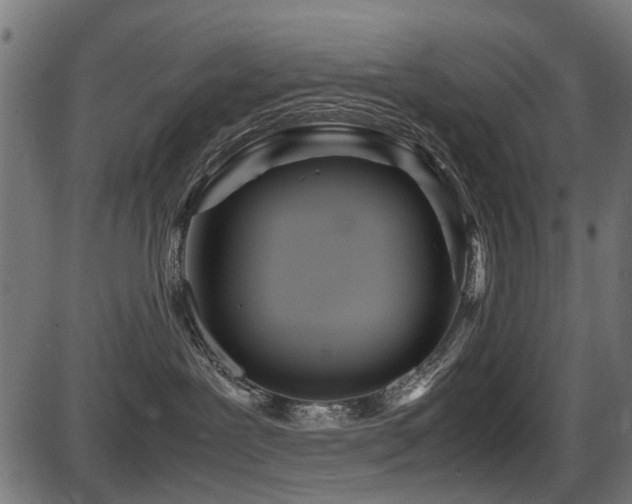 X0000087640239200705031518