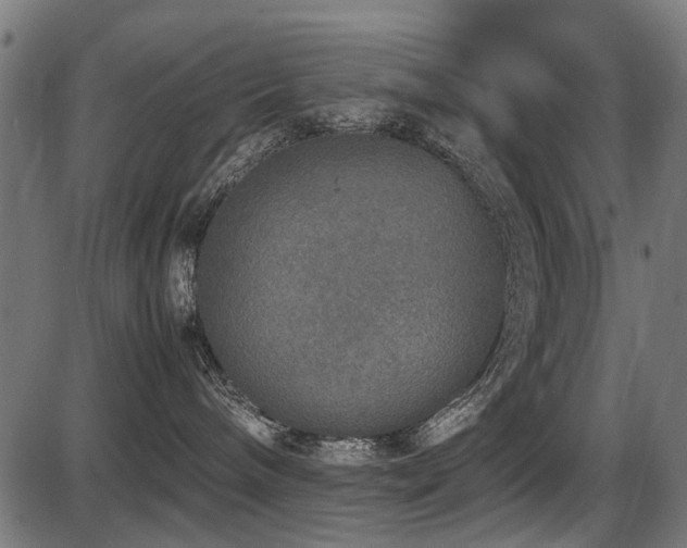 X0000087640240200705031518