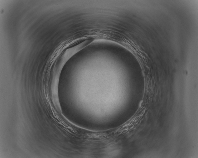 X0000087640241200705031517