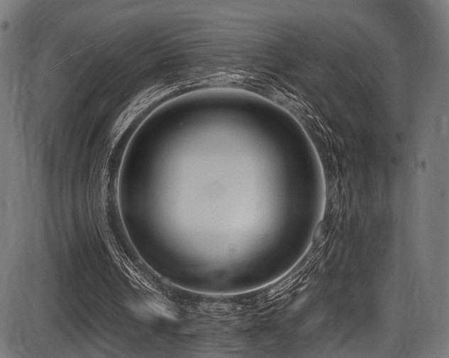 X0000087640242200705031517