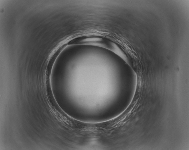 X0000087640244200705031517