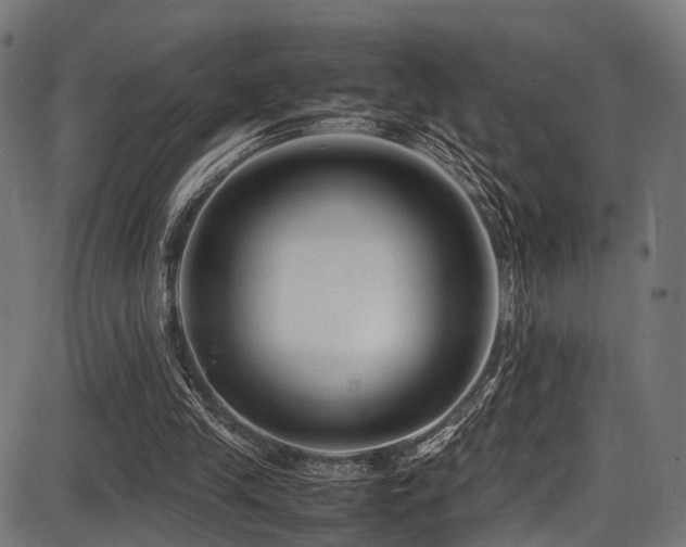 X0000087640245200705031517