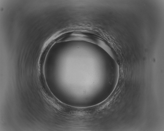 X0000087640246200705031517