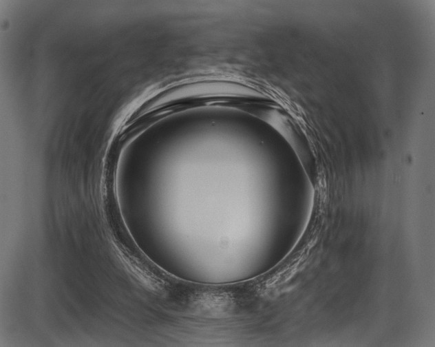 X0000087640248200705031517