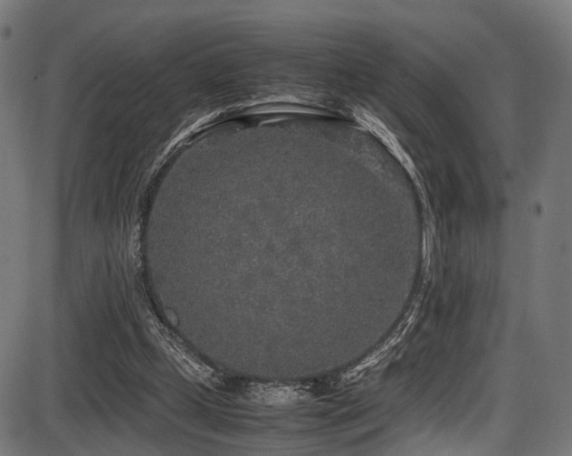 X0000087640249200705031517