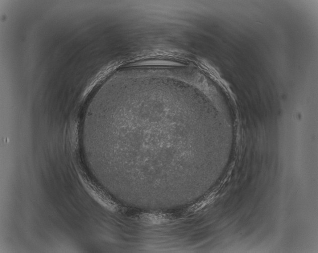 X0000087640250200705031517