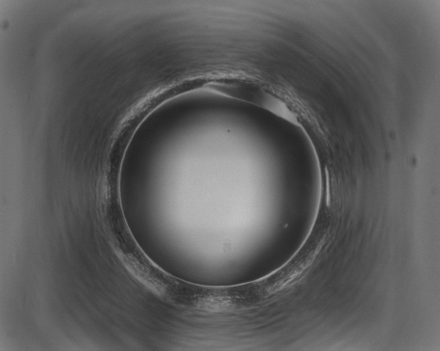 X0000087640252200705031517