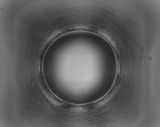 X0000087640253200705031517