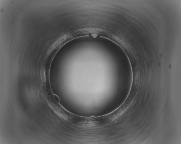 X0000087640254200705031517