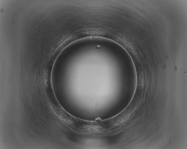 X0000087640255200705031517