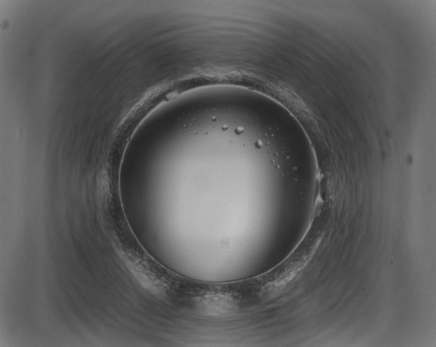 X0000087640256200705031517