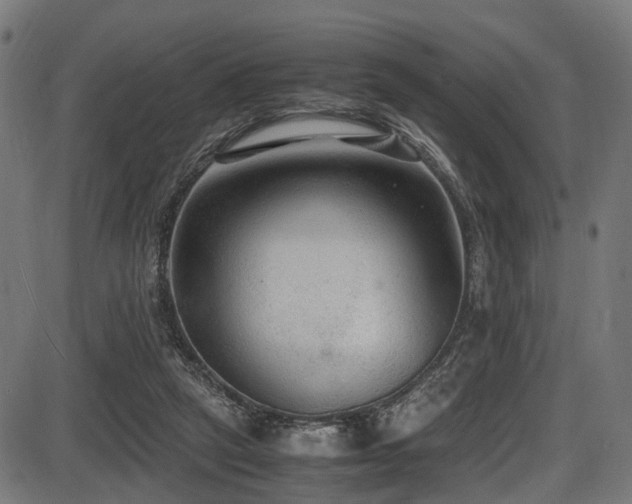 X0000087640257200705031517