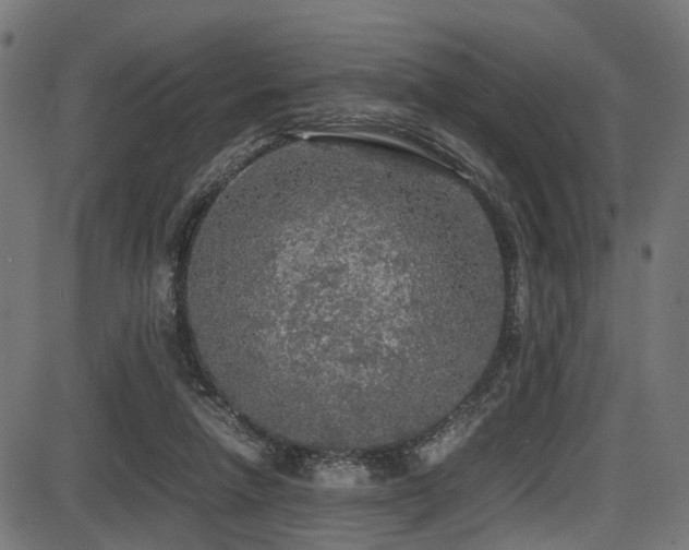 X0000087640258200705031517