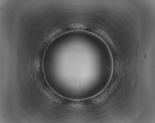 X0000087640259200705031517