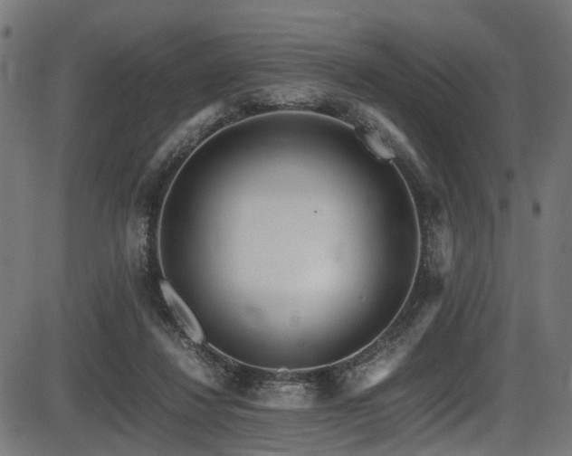 X0000087640260200705031517