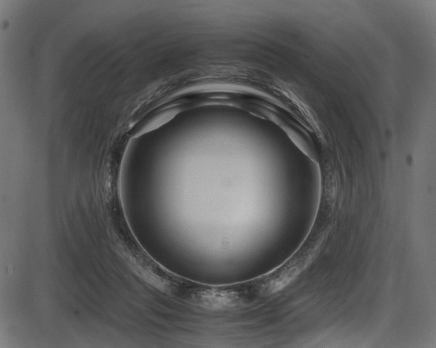 X0000087640261200705031517