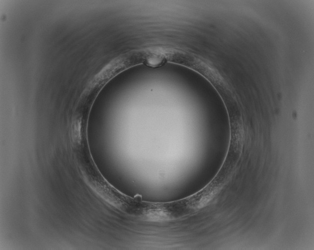 X0000087640262200705031518