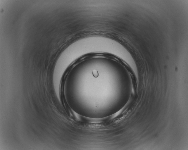 X0000087640268200705031518