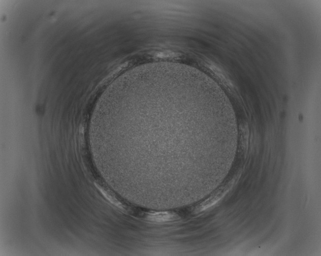 X0000087640269200705031518