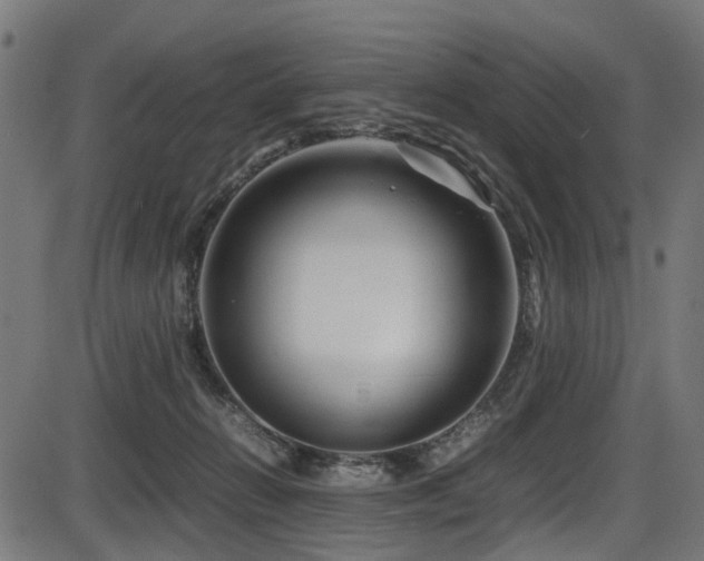 X0000087640270200705031518