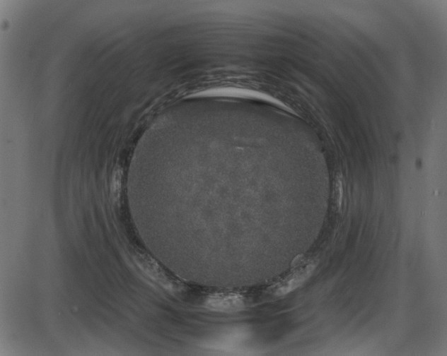 X0000087640271200705031518