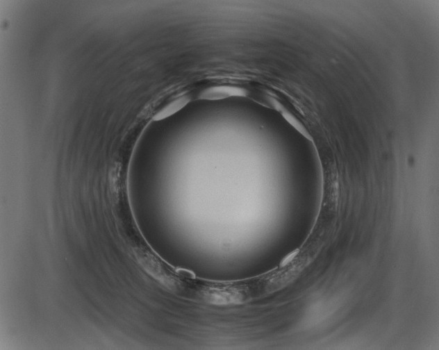 X0000087640275200705031518