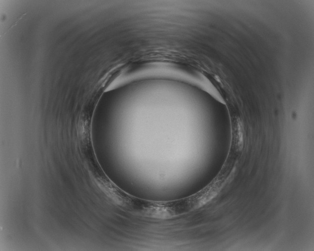 X0000087640276200705031518