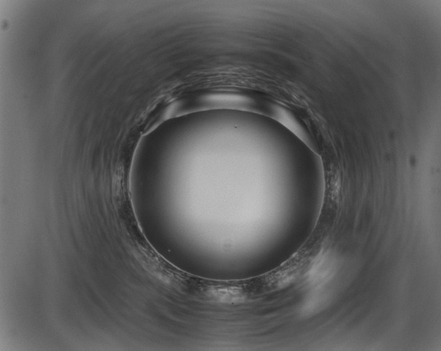 X0000087640283200705031518