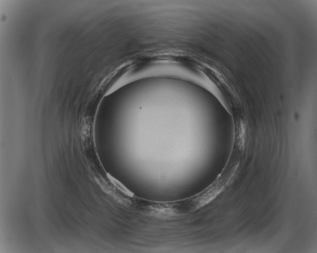 X0000087640284200705031518