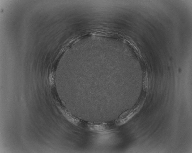 X0000087640285200705031518