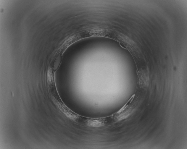 X0000087640287200705031518