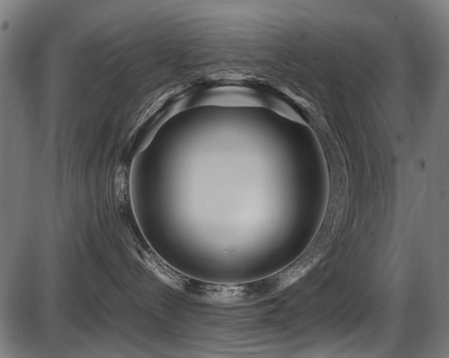 X0000087640288200705031518