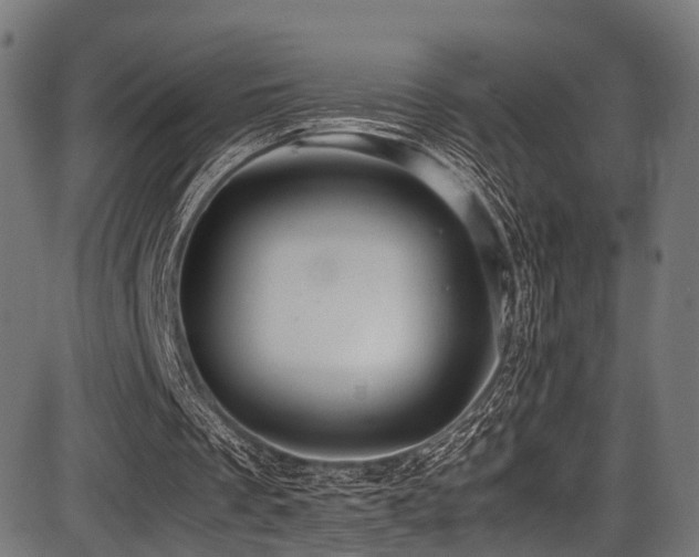 X0000087640289200705031517