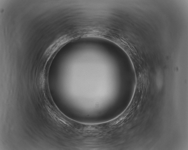 X0000087640290200705031517