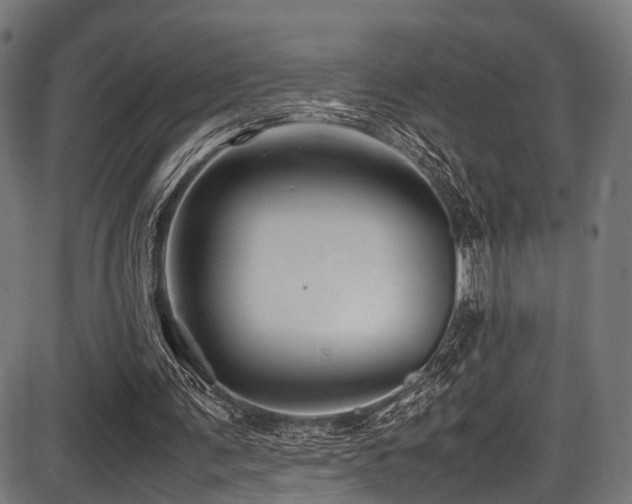 X0000087640291200705031517