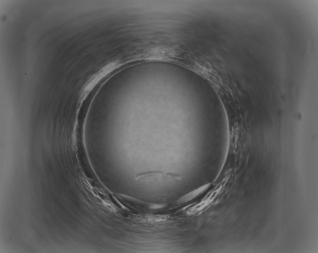 X0000087640292200705031517