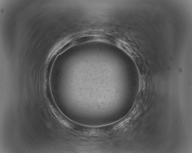 X0000087640293200705031517