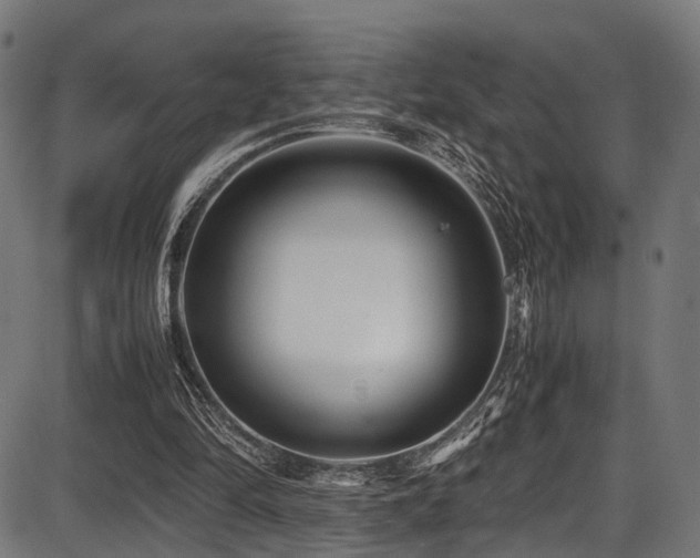 X0000087640294200705031517